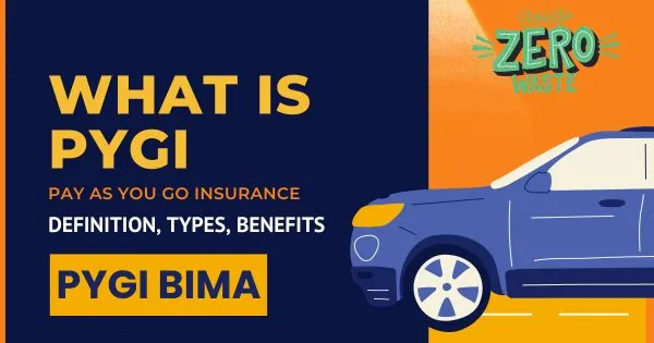 What is PYGI, definition, types, benefits PYGI BIMA